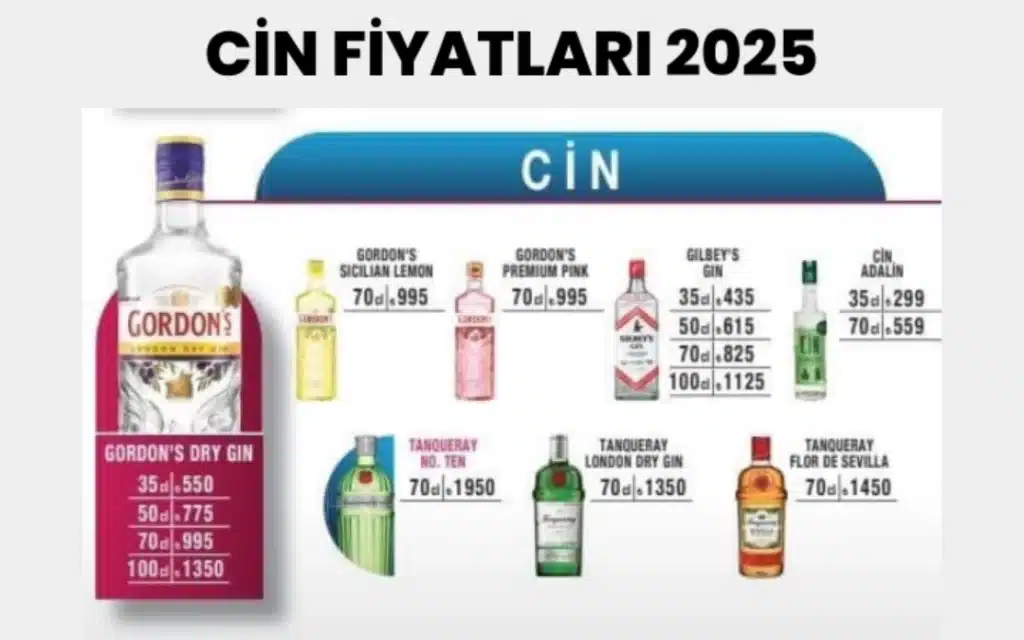 Cin Fiyat Listesi