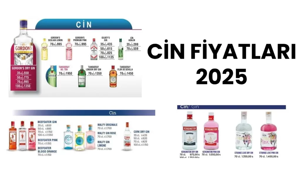 Cin Fiyat Listesi